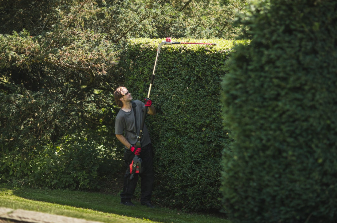 Taille-Haies Télescopique 3.2 m - 82V