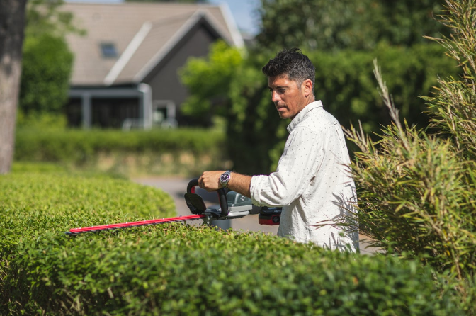 Taille-Haies 48V - 66cm